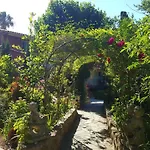 Le Calvi (Corsica)